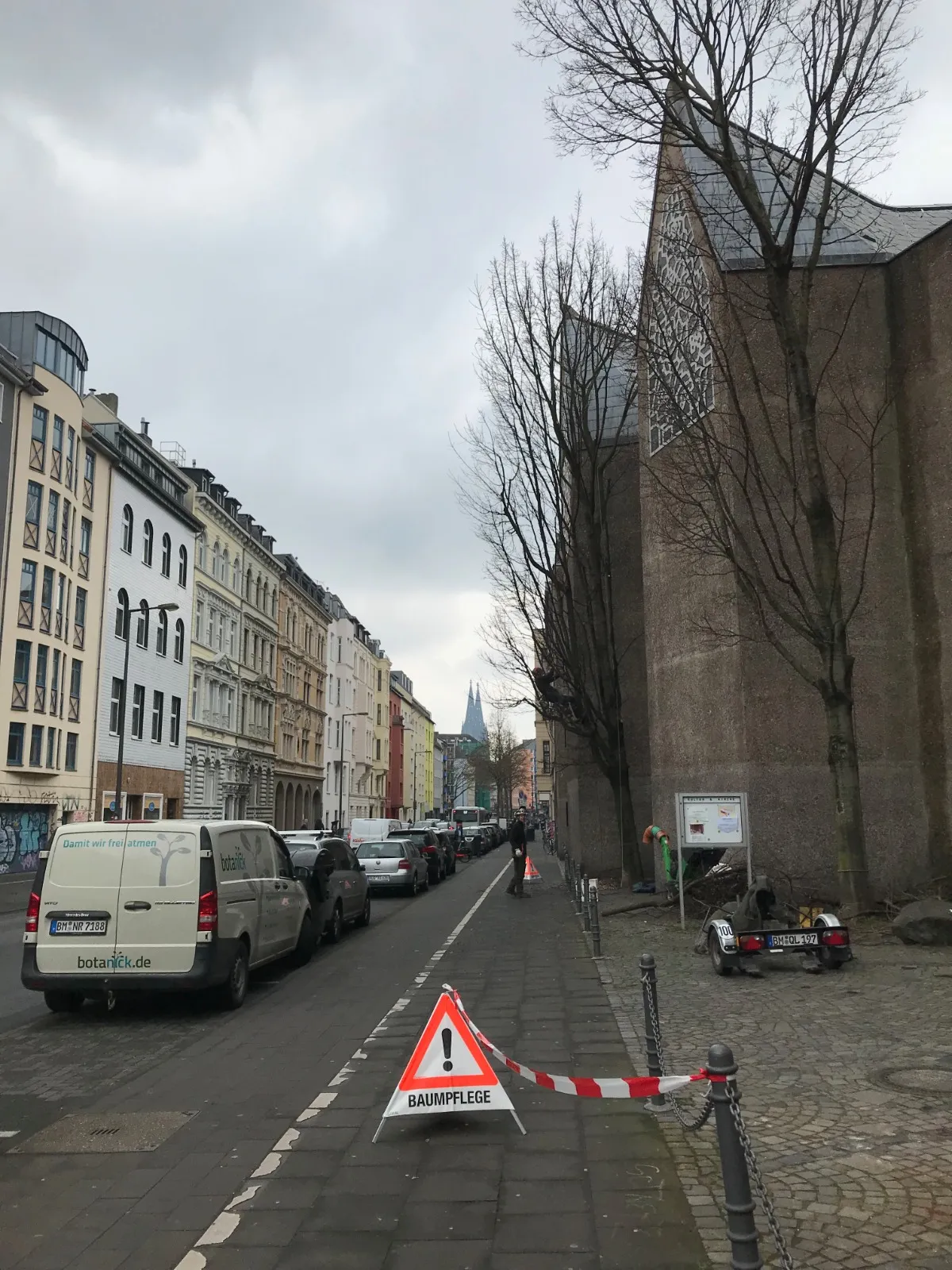 Abgesicherte Baumpflege-Baustelle im Straßenraum mit BotaNick-Fahrzeug