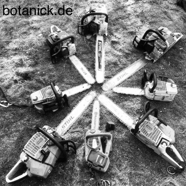 Sternförmig ausgelegte Motorsägen des BotaNick-Teams