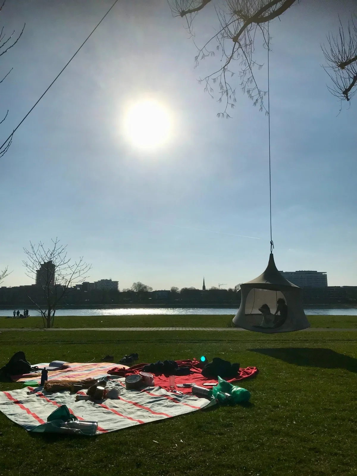 In einen Baum gehängtes Hängezelt über einer Picknickdecke am Rheinufer