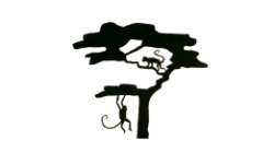 Larix